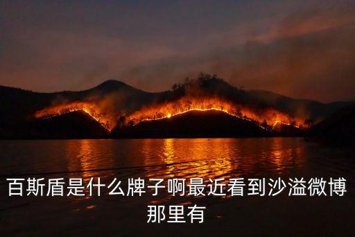 百斯盾，泰安市百斯盾