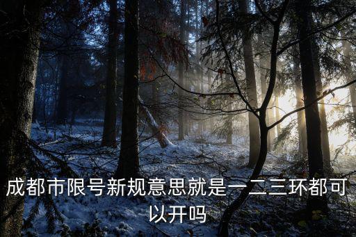 成都市限號(hào)新規(guī)意思就是一二三環(huán)都可以開(kāi)嗎