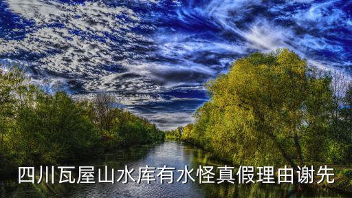 四川瓦屋山水庫有水怪真假理由謝先