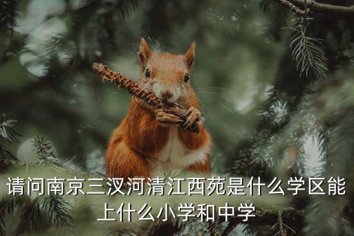 請問南京三汊河清江西苑是什么學區能上什么小學和中學