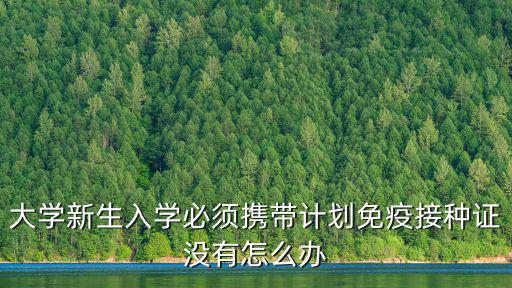 大學(xué)新生入學(xué)必須攜帶計(jì)劃免疫接種證沒有怎么辦