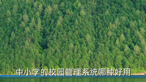 中小學(xué)的校園管理系統(tǒng)哪種好用