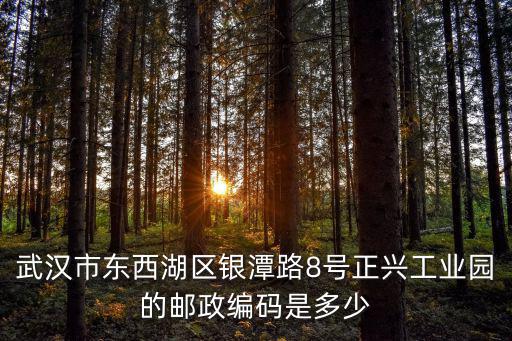 東西湖區(qū)郵編，武漢市東西湖區(qū)銀潭路8號正興工業(yè)園的郵政編碼是多少