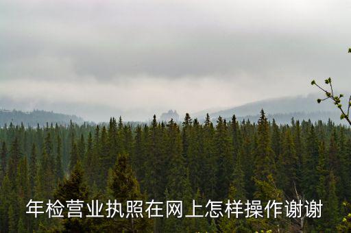 年檢營(yíng)業(yè)執(zhí)照在網(wǎng)上怎樣操作謝謝
