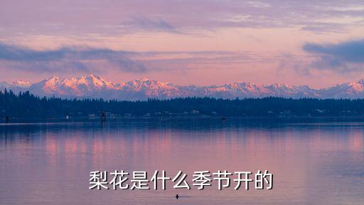 梨花幾月開，梨花開 在什么時候具體月份農歷