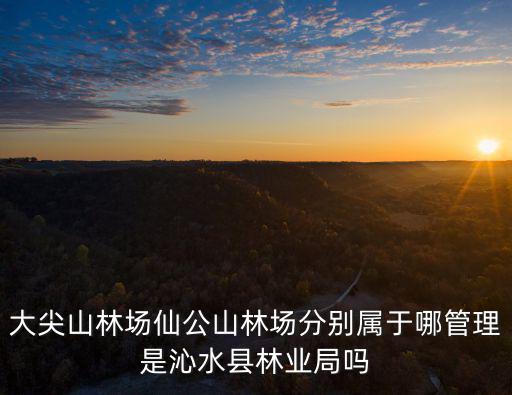 大尖山林場仙公山林場分別屬于哪管理是沁水縣林業(yè)局嗎