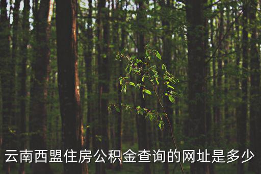 公積金賬戶查詢，普洱市個人住房公積金如何查詢
