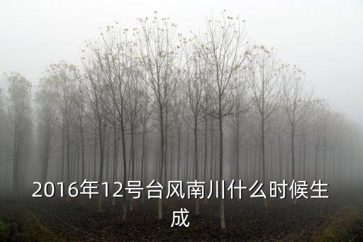 2016年12號臺風南川什么時候生成