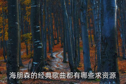 海朋森的經典歌曲都有哪些求資源