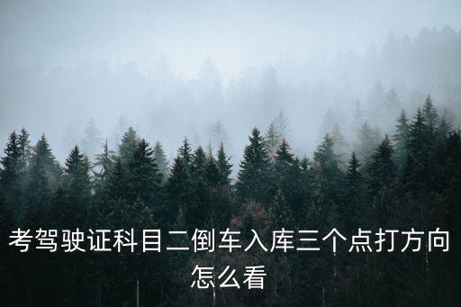 考駕駛證科目二倒車入庫三個點打方向怎么看