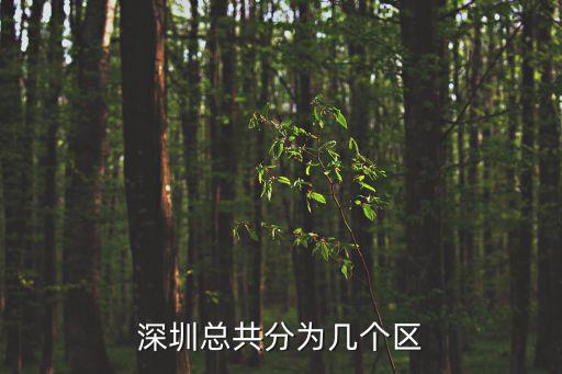 深圳區劃圖，深圳總共分為幾個區