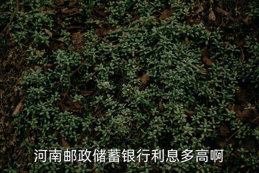 河南郵政儲蓄銀行利息多高啊