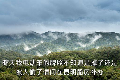昨天我電動車的牌照不知道是掉了還是被人偷了請問在昆明船房補(bǔ)辦