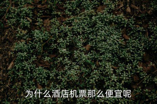 為什么酒店機票那么便宜呢