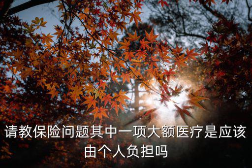 請教保險問題其中一項大額醫療是應該由個人負擔嗎