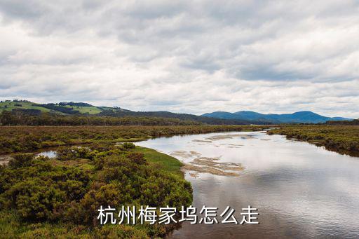梅家塢村，上海至梅家塢村自駕游車路線