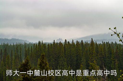 師大一中麓山校區(qū)高中是重點高中嗎