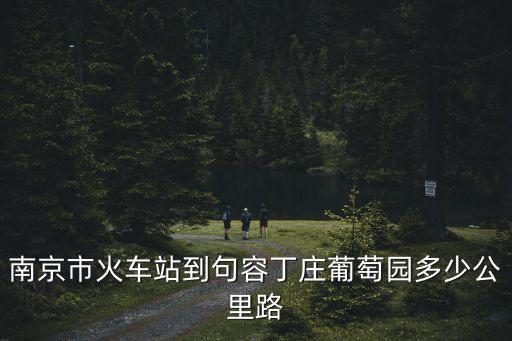 句容丁莊葡萄園，丁莊葡萄園句容丁莊茅山丁莊怎么走