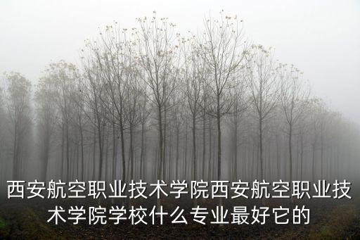 西安航空職業技術學院西安航空職業技術學院學校什么專業最好它的