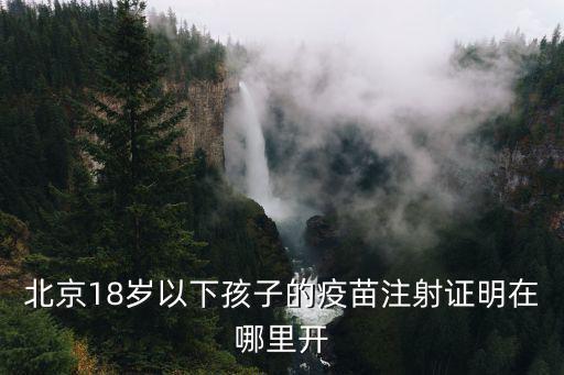 北京18歲以下孩子的疫苗注射證明在哪里開