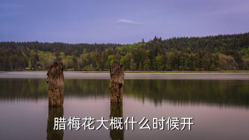 臘梅花大概什么時候開