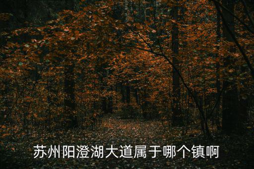 蘇州陽澄湖大道屬于哪個鎮啊