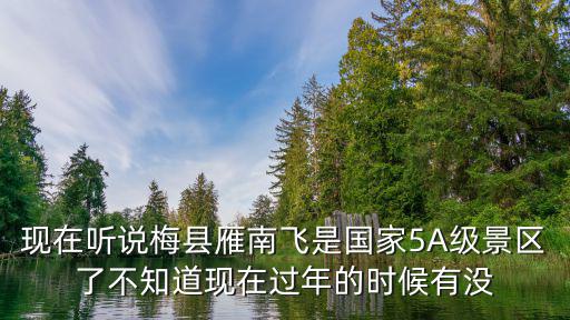 梅州雁南飛，梅州雁南飛景區(qū)里面可以開車嗎里面太大不想用走的去過的朋友