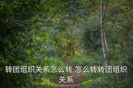 轉團組織關系怎么轉 怎么轉轉團組織關系