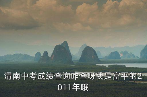 渭南中考成績查詢咋查呀我是富平的2011年哦