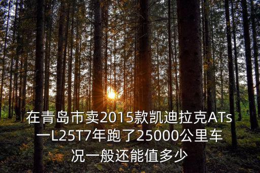 在青島市賣2015款凱迪拉克ATs一L25T7年跑了25000公里車況一般還能值多少
