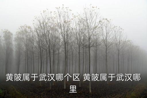 黃陂屬于武漢哪個區(qū) 黃陂屬于武漢哪里