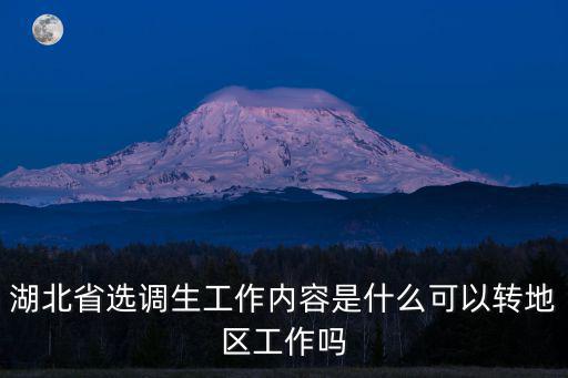 湖北省選調(diào)生，湖北選調(diào)生條件