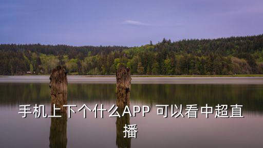 中超在線直播觀看，手機上下個什么APP 可以看中超直播