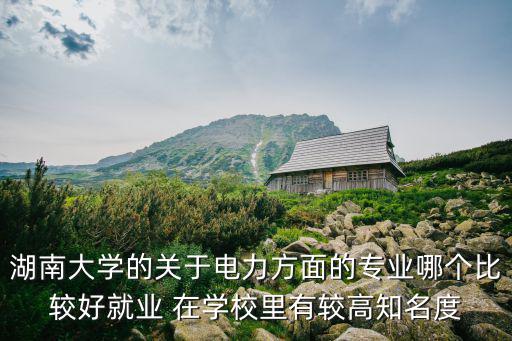 湖南大學的關于電力方面的專業哪個比較好就業 在學校里有較高知名度
