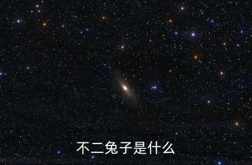 不二兔，不二兔子是什么