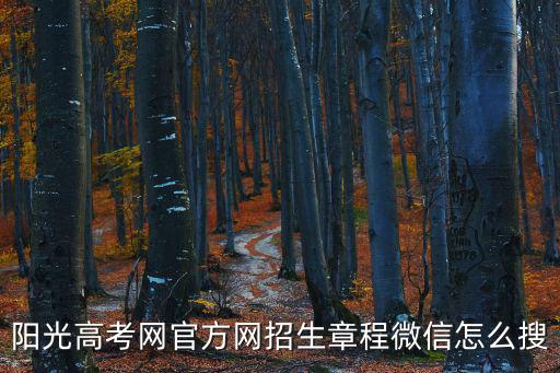 陽光高考網官方網招生章程微信怎么搜
