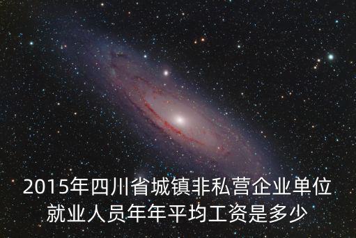 2015年四川省城鎮(zhèn)非私營企業(yè)單位就業(yè)人員年年平均工資是多少