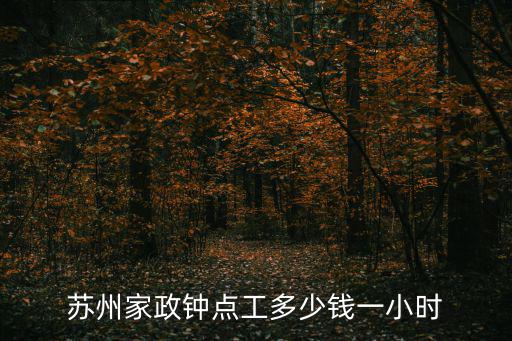 蘇州家政，蘇州哪家家政公司正規