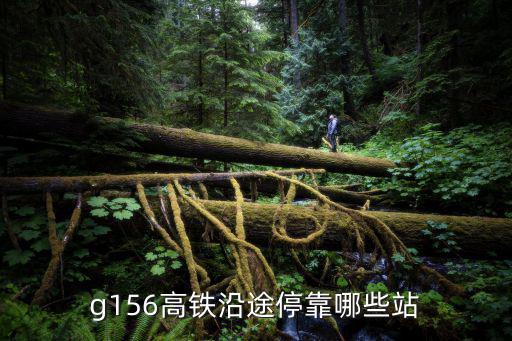 g156，g156高鐵沿途停靠哪些站