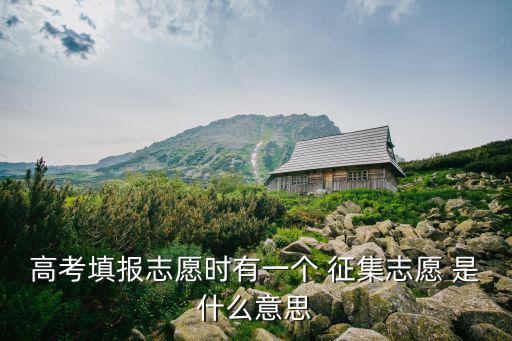 高考填報志愿時有一個 征集志愿 是什么意思