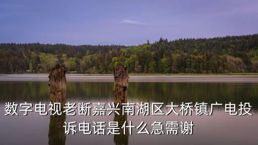 數字電視老斷嘉興南湖區大橋鎮廣電投訴電話是什么急需謝