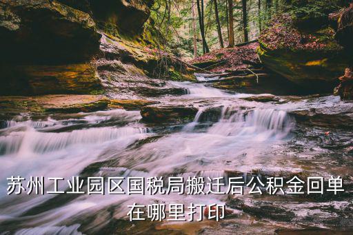 蘇州工業(yè)園區(qū)國稅局搬遷后公積金回單在哪里打印