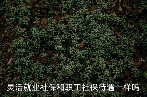 靈活就業社保和職工社保待遇一樣嗎