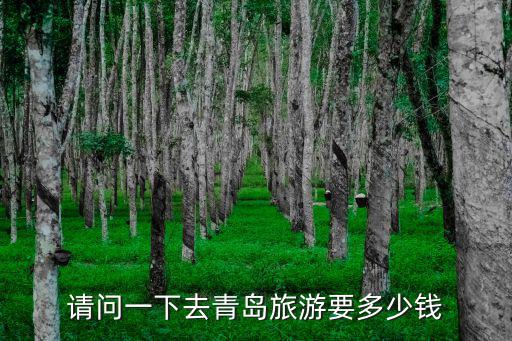 請問一下去青島旅游要多少錢