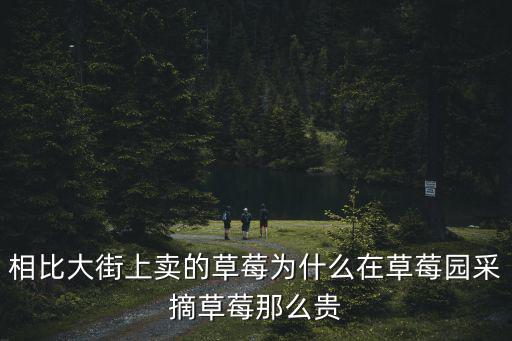 相比大街上賣的草莓為什么在草莓園采摘草莓那么貴