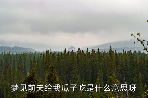夢見前夫給我瓜子吃是什么意思呀