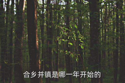 合鄉并鎮是哪一年開始的