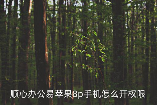 順心辦公易蘋果8p手機怎么開權限
