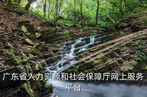 廣東省人力資源和社會保障廳網上服務平臺