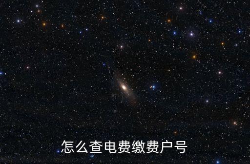 電費戶號查詢，電費戶號如何查詢